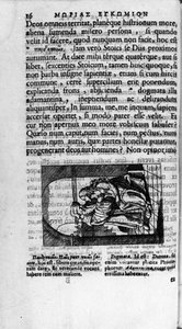 Az oldalt Didier (Disderius) Erasme (Rotterdami Erasmus) "" L