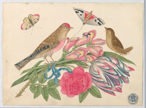 Barna madárpár a csokor tulipánnal, rózsával és csattanósárkányokkal, pillangókkal alkotó: Unknown artist