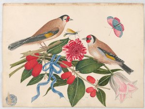 Barna madárpár virágokkal, bogyókkal és pillangóval alkotó: Unknown artist