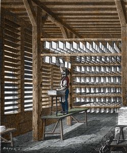 Papírgyártás a XIX. alkotó: Unknown artist