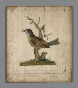 Egy madár képe alkotó: Unknown artist