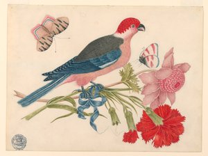 Rózsaszín, piros, kék és fekete madár ágon virágokkal és pillangókkal alkotó: Unknown artist