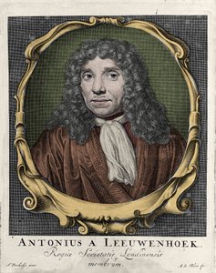 Antonie Van Leeuwenhoek vagy Anton van Leeuwenhoek, vagy Leeuwenhoek vagy Leeuwenhoeck portréja. holland természettudós (1632-1723). 1722-es metszet. alkotó: Unknown artist