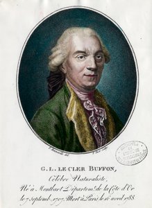 George Louis Le Clerc, Buffon grófjának portréja alkotó: Unknown artist