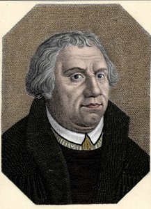 Luther Márton (1483-1546) német vallásújító portréja. alkotó: Unknown artist