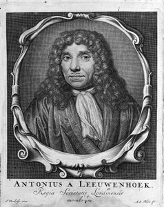 Antoine van Leeuwenhoek (vagy Leeuvenhoek Leeuwenhoeck) (vagy Antoni vagy Anthonie) (1632-1723) holland kereskedő és tudós portréja, metszet az „Investigatio Arcanorum” 1722-ből. alkotó: Unknown artist