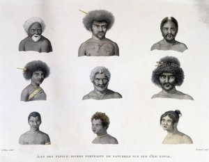 Pápua portréi Rawak szigetéről. alkotó: Unknown artist
