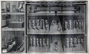 Hűtött hústároló helyiségek - „La Science francaise” metszet” alkotó: Unknown artist