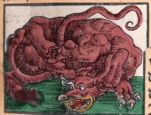 A sárkány ábrázolása. Metszet Johann Stumpff „Den Ellen Strength Beste Fromen”-ből. 1550 alkotó: Unknown artist