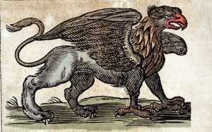 Egy griff, fantasztikus lény, félig sas, félig oroszlán ábrázolása. Metszet Athanasius Kircher (1601-1680) jezsuita, orientalista és tudós művéből. alkotó: Unknown artist