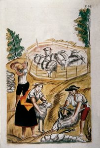 Birkanyírás, a "Trujillo of Peru" vagy a "Codex Martinez Companion" című könyvéből, Baltazar Martinez Companion és Bujanda, Trujillo püspöke (1782-1785) alkotó: Unknown artist