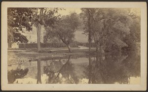 [Silverspring Pond] alkotó: Unknown artist