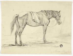 Álló ló alkotó: Unknown artist