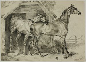 Álló Kanca és Colt alkotó: Unknown artist