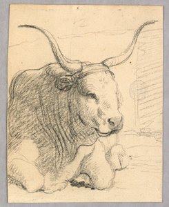 Tanulmány: fekvő tehén alkotó: Unknown artist