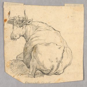 Tanulmány egy tehénről alkotó: Unknown artist