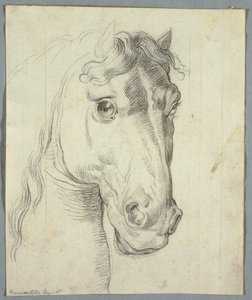 Egy ló tanulmányozása alkotó: Unknown artist