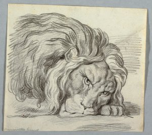 Oroszlántanulmány alkotó: Unknown artist