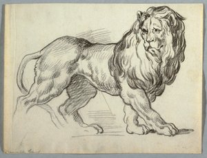 Oroszlántanulmány alkotó: Unknown artist