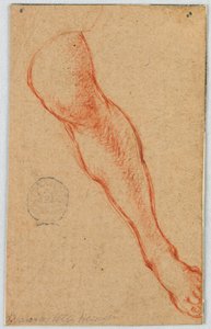 Egy ülő nő bal lábának tanulmányozása alkotó: Unknown artist