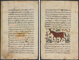Szöveglap, perzsa próza (Recto); khar (szamár) (verso) alkotó: Unknown artist