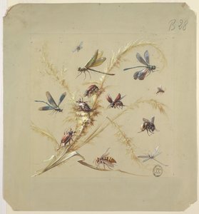 Textil- vagy tapétatervezés: rovarok alkotó: Unknown artist