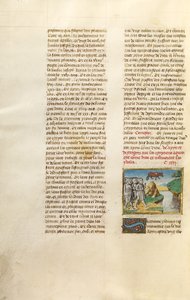 Az egyiptomiak imádják a bika képét alkotó: Unknown artist