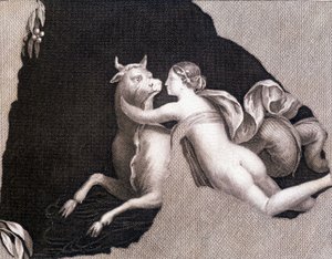 Európa elrablása - metszet alkotó: Unknown artist