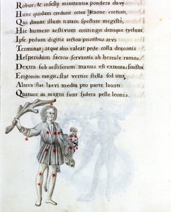 Az ábrázolt csillagkép a Bouvier (vagy Boots) csillagkép, amely a bal kezével megtámasztja Berenices haját. Egy 18. századi kézirat oldala, amely Biasino da Parma (Parma Blaise) (1425-1457) eredeti „Astronomica” kéziratán alapul. alkotó: Unknown artist