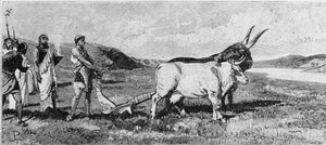 Róma alapítása. 19. századi metszet. alkotó: Unknown artist