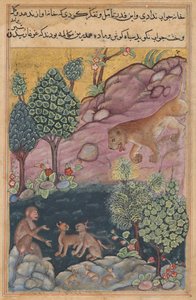 Az oroszlán visszatér a területére, és látja a majmot, amint a hiúzzal beszélget egy Tuti-namából (Papagáj meséi): Huszonkilencedik éjszaka alkotó: Unknown artist