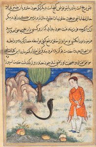 A herceg, Szisztán uralkodójának fia, kígyó szolgálatába áll, egy Tuti-namából (Papagáj meséi): Harminchetedik éjszaka alkotó: Unknown artist