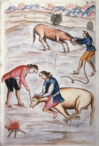 Egy kanca vörös vas márkajelzése, a "Trujillo del Peru" vagy a "Codex Martinez Companion" könyvből, Baltazar Martinez Companion és Bujanda, Trujillo püspöke (1782-1785) által alkotó: Unknown artist