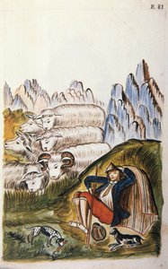 A pásztor és juhnyája, a "Trujillo del Peru" vagy "Codex Martinez Companion" című könyvéből, Baltazar Martinez Companion és Bujanda, Trujillo püspöke (1782-1785) alkotó: Unknown artist