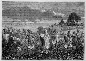 Domitianus császár parancsára a gallokban kitépett szőlőtőkék – Louis Figuier, Párizs „Az ipar csodái” című könyvében alkotó: Unknown artist
