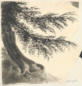 Fa alkotó: Unknown artist