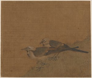 Két pöttyös wagtail alkotó: Unknown artist