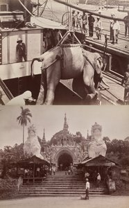 Cím nélkül: (hajóra rakodó elefánt, recto); (lépcsőfokok és épület, verso) alkotó: Unknown artist