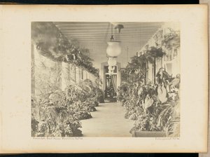 Veranda. Kormányzati Ház. Maurituis. alkotó: Unknown artist