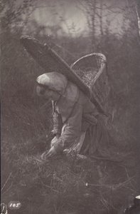 [Nő kosárral a hátán] alkotó: Unknown artist
