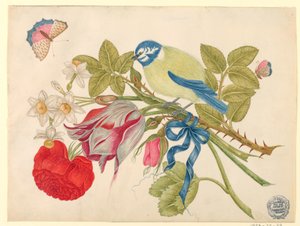 Sárga-kék madár csokor rózsával, tulipánokkal és nárciszokkal, pillangókkal alkotó: Unknown artist