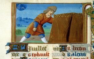 Zodiac Lion and Harvest - Miniature of the Middle Age (ref. 137, 049r): Engedélykérés a Toulouse-i Városi Könyvtártól (tel: 05 62 27 66 66) alkotó: Unknown artist
