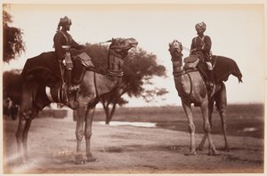 Camel Sowars a Delhi gyakorlótáborban alkotó: Unknown photographer