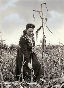 Friulian extrudált alkotó: Unknown photographer
