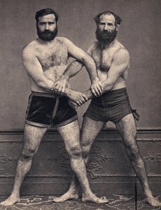 A marseille-i testvérek birkózó portréja. Fényképészet, 19. század vége, Párizs. Coll. Selva. alkotó: Unknown photographer