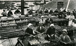 Szardíniagyártás, Finistère, Britttany (fekete-fehér fotó) alkotó: Unknown photographer