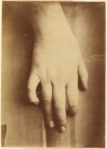 Tanulmány egy kézről,1865 (fotó) alkotó: Unknown photographer