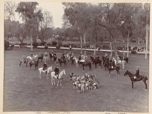 A Peshawar Vale Hunt