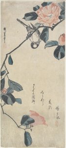 (Bird on Camellia), 19. század eleje