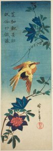 (Faksimile?) Fekete szarvasrigó és klematisz alkotó: Utagawa Hiroshige